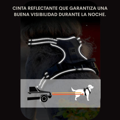 Pechera para Perro
