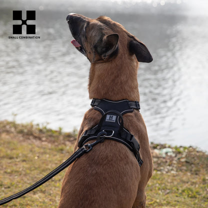 Pechera para Perro