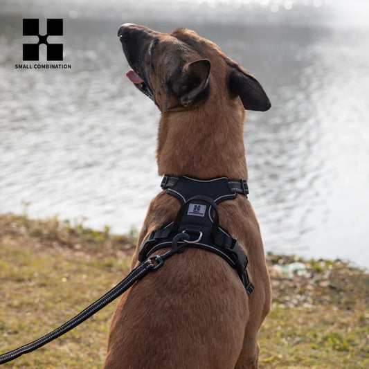 Pechera para Perro